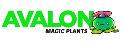  Avalon Magic Plants Promo Codes